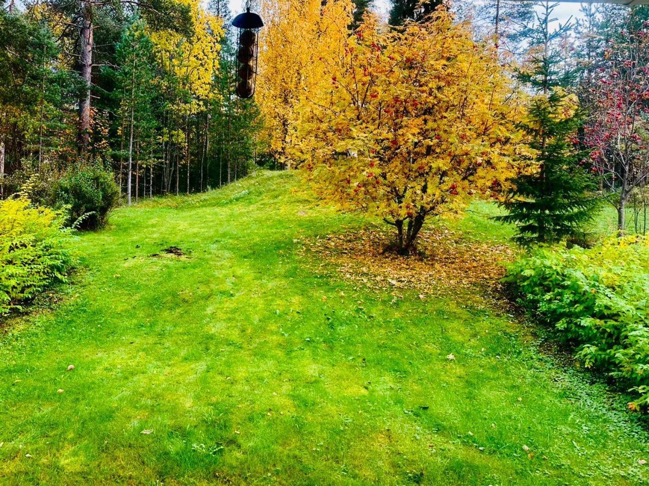 Holiday Home, Entire Home Rovaniemi Zewnętrze zdjęcie